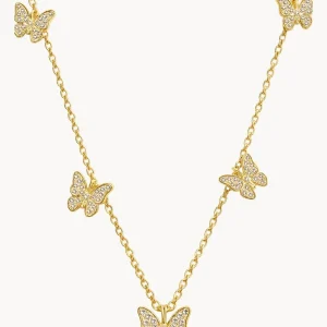 apodemia collares