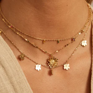 apodemia collares
