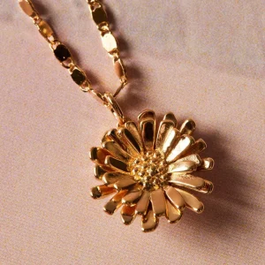 apodemia collares