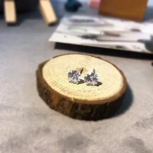 Pendientes de Plata de Ley con Circonita